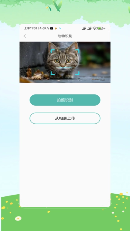 识图达人