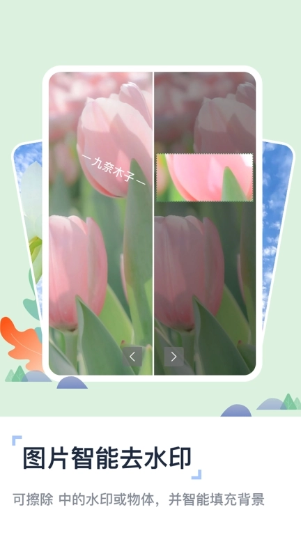 视频提取去水印
