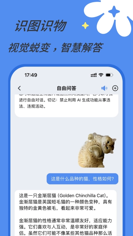 AI视界-图片理解识图助手