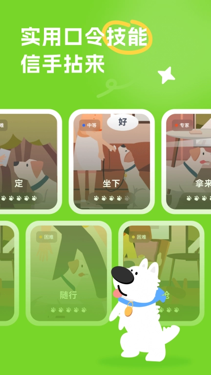 尾巴纪元-宠物教育与技巧训练