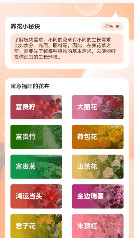 花开富贵特效