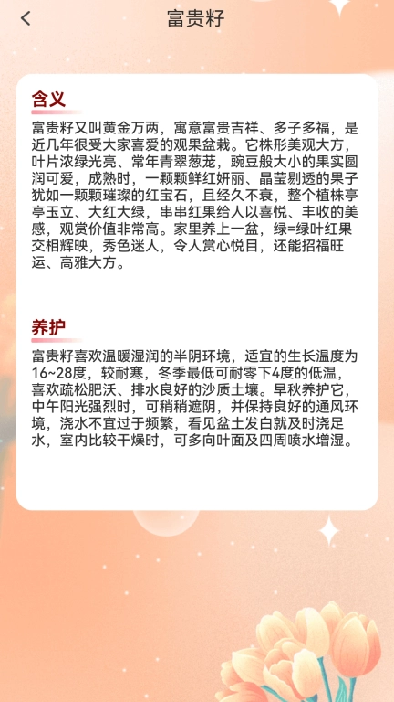 花开富贵特效