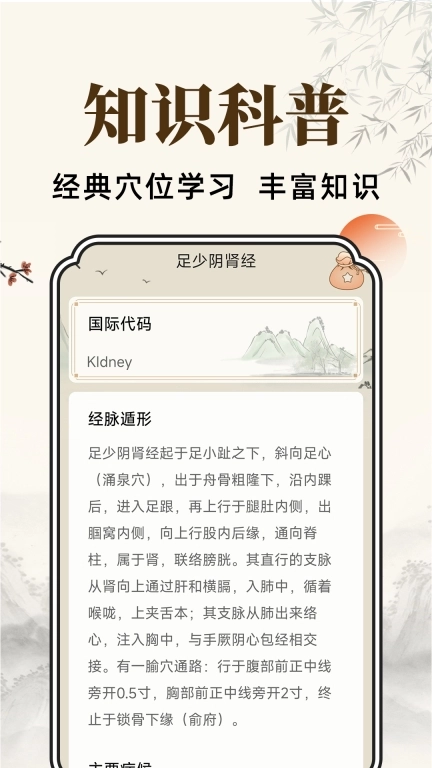 穴位经脉详解