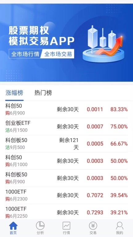 兴证期权模拟