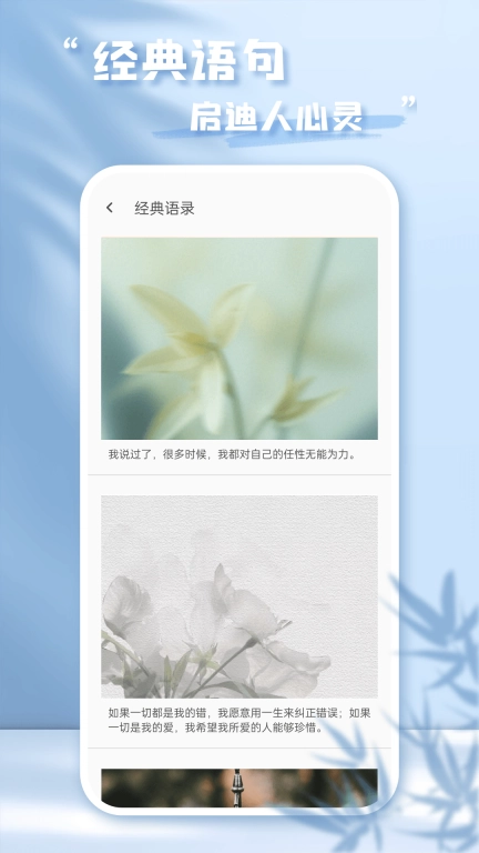 每日语录
