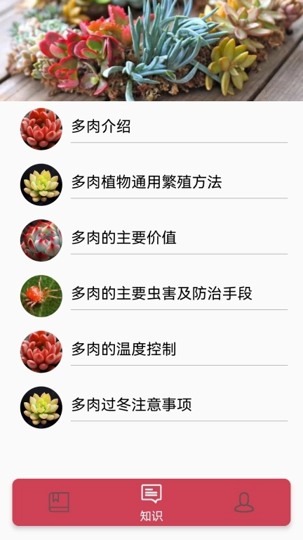 多肉花草成长日记-养花养草养多肉