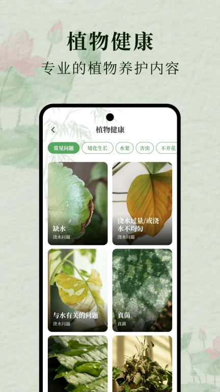 花草集
