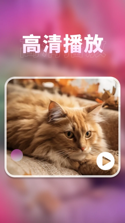 密影速播播放器