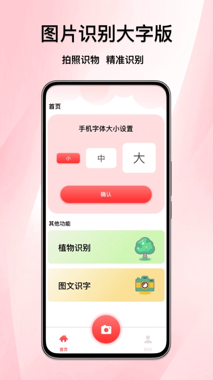 图片识别大字版
