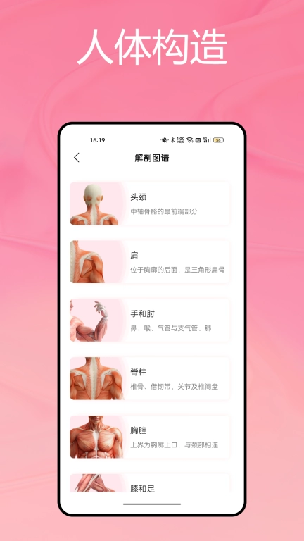 运动解剖