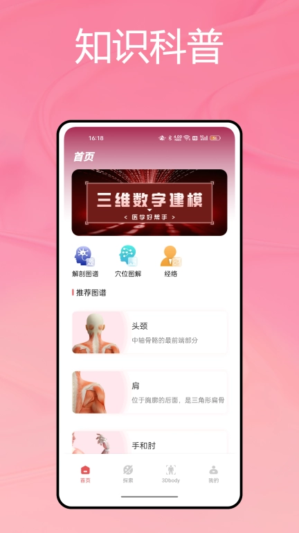 运动解剖