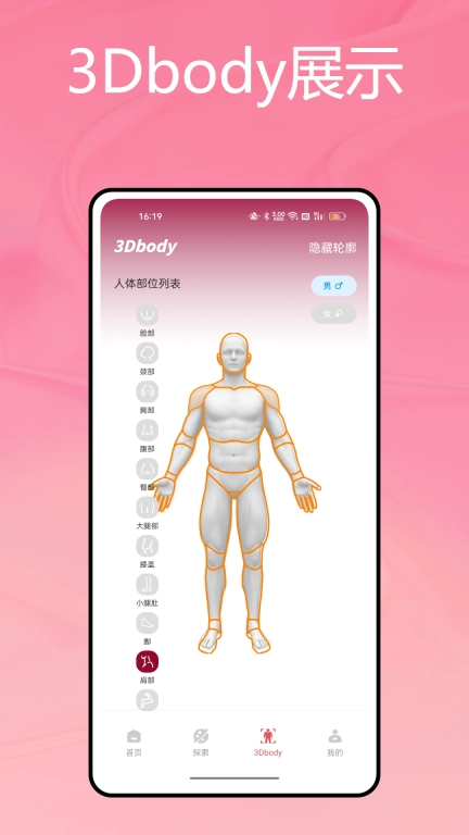 运动解剖
