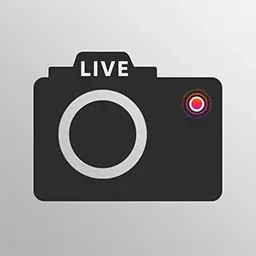 live实况P图