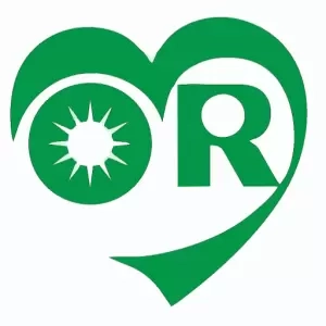 ORM照明智控