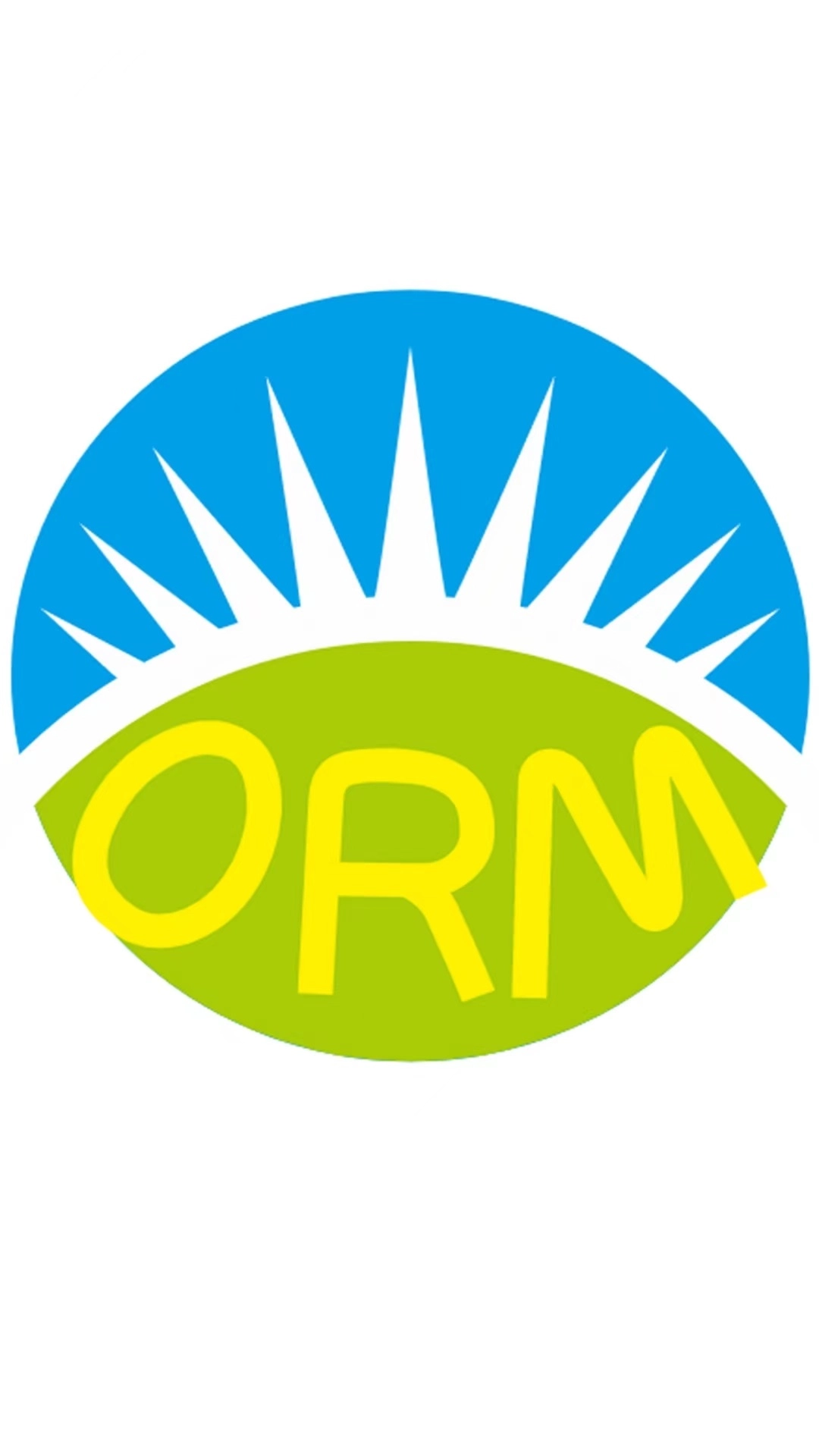 ORM照明智控