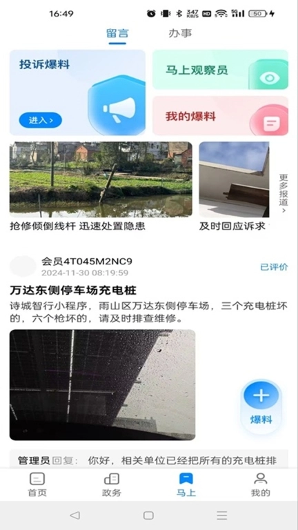 白菜心