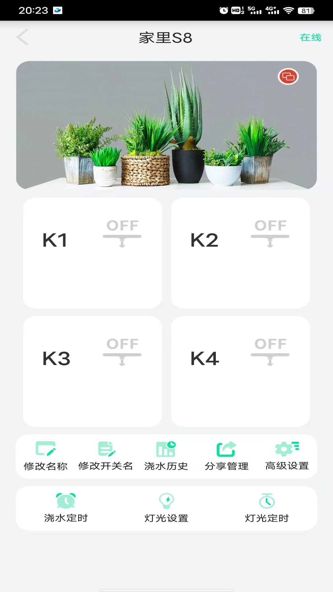 植物宝
