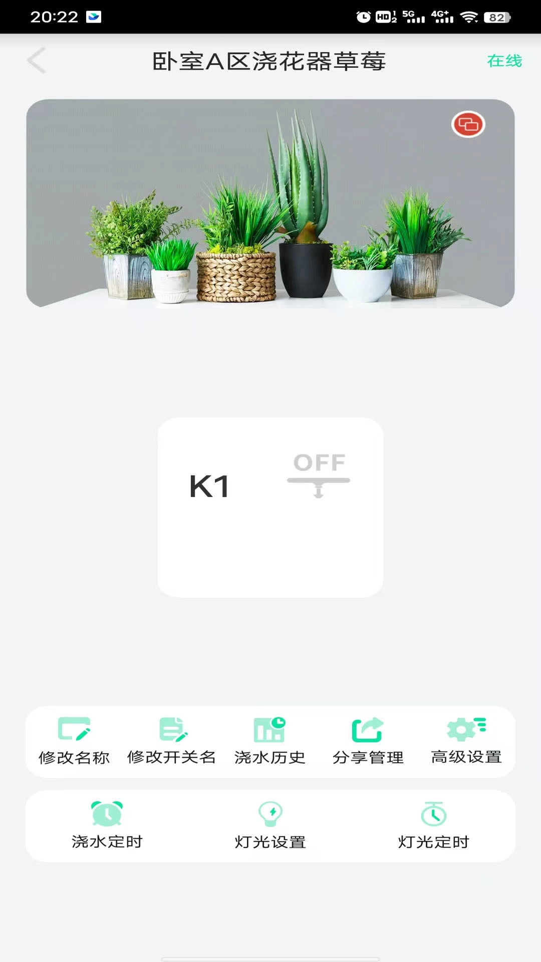 植物宝