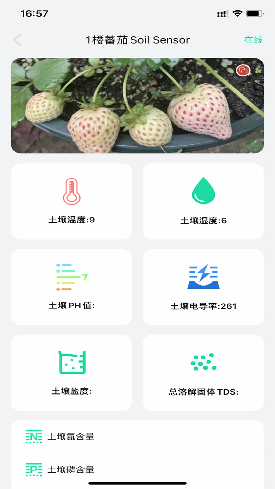 植物宝