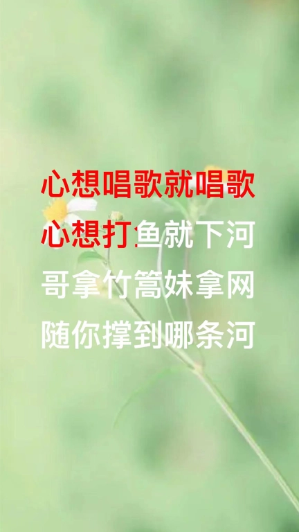 山歌宝典