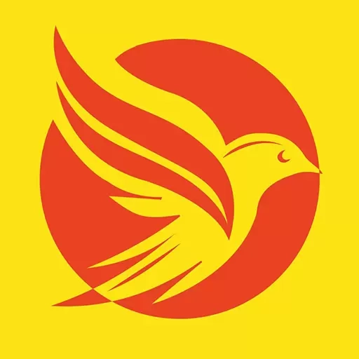 金丝鸟家庭服务