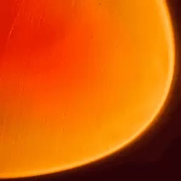 心光