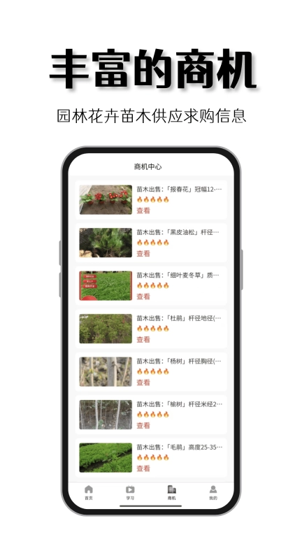 好苗木-园林花卉绿化苗木买卖