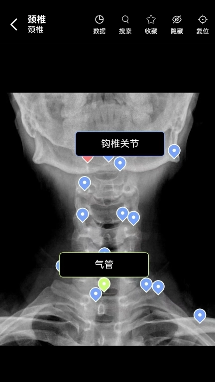 轻盈医学
