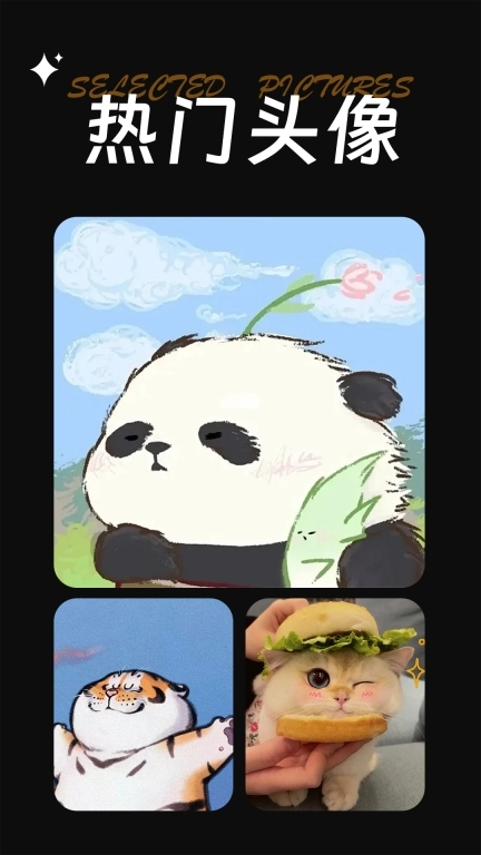 每日精选美图