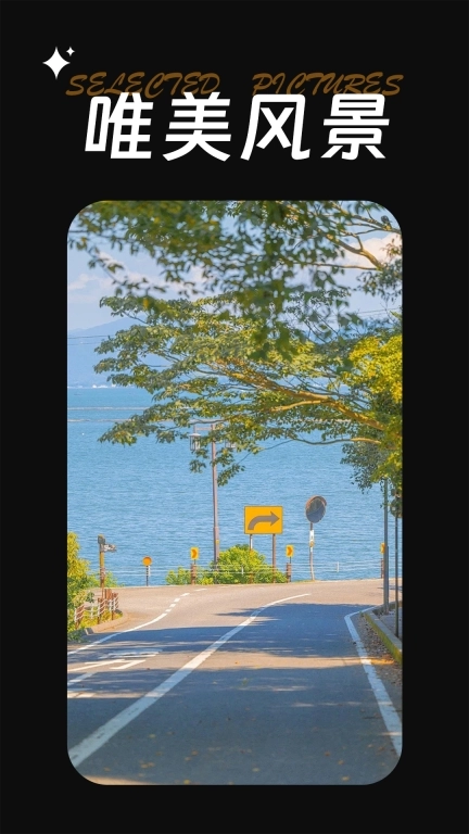 每日精选美图