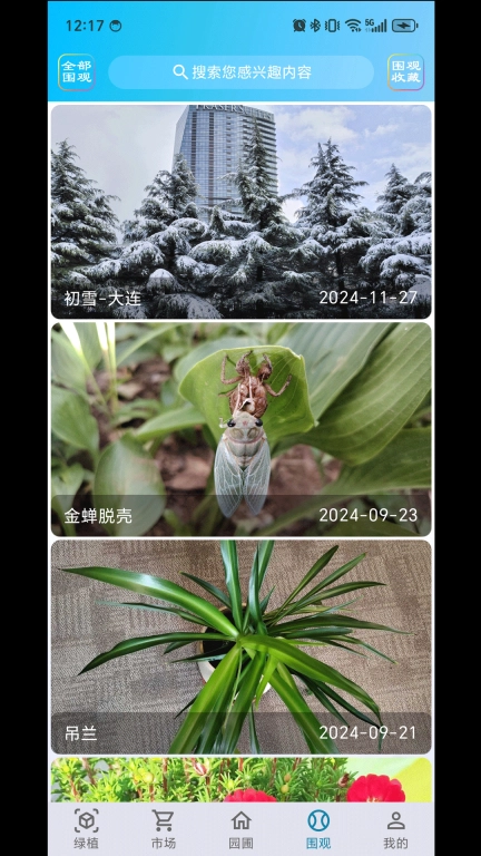 绿植花卉