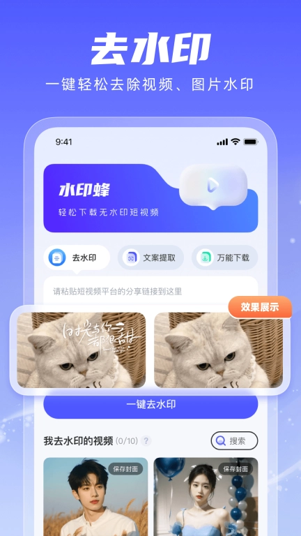水印蜂-视频去水印