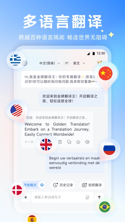 金牌翻译王