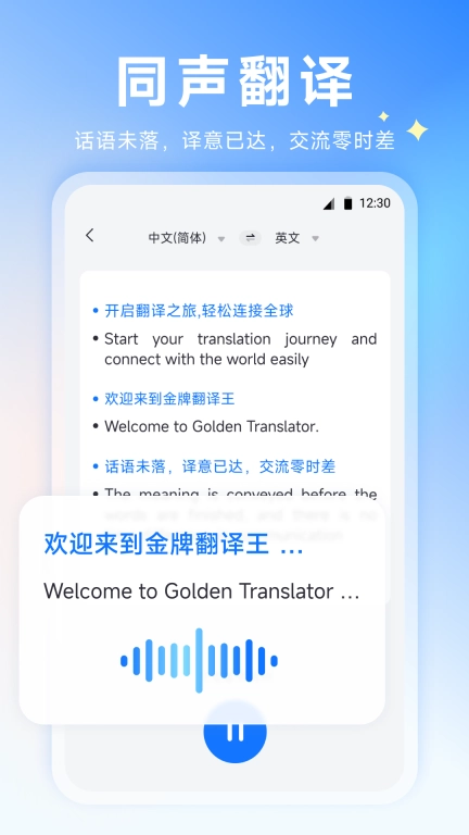 金牌翻译王