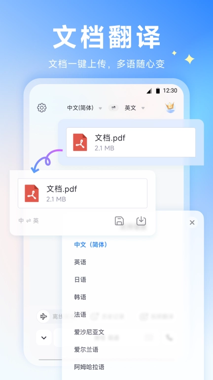 金牌翻译王