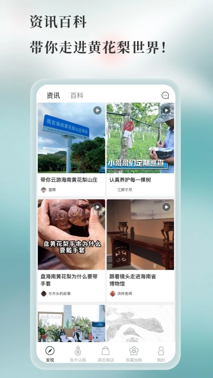 良木森林