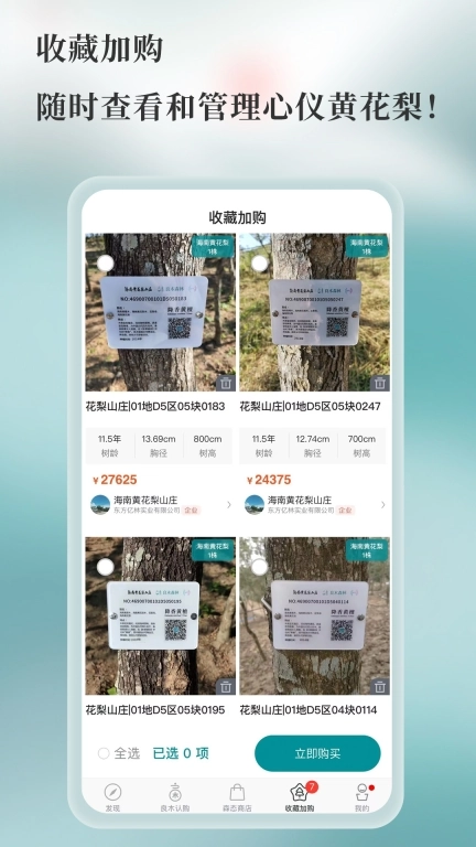 良木森林