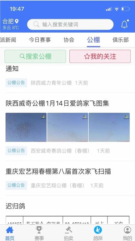 鸽派