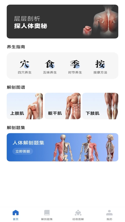 人体解剖图集