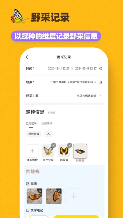 寻蝶记-手边的蝴蝶图鉴百科