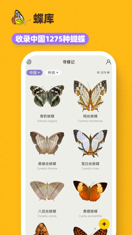 寻蝶记-手边的蝴蝶图鉴百科