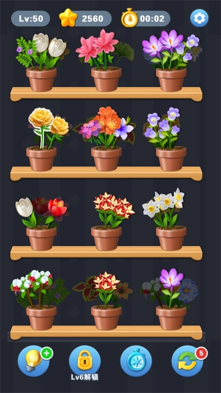 花朵拼拼