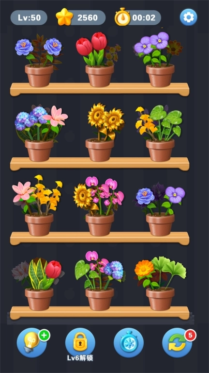 花朵拼拼