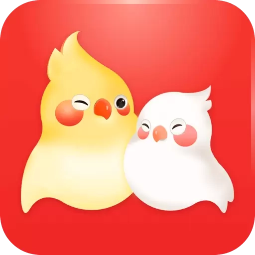 婚前婚后
