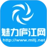 魅力庐江网