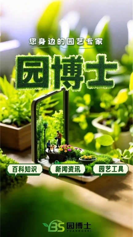 园博士