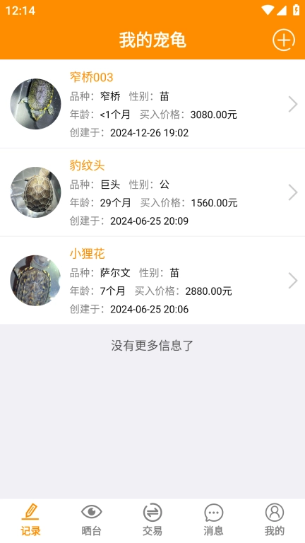 龟圈江湖