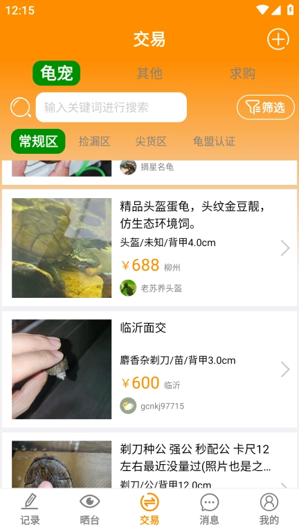 龟圈江湖