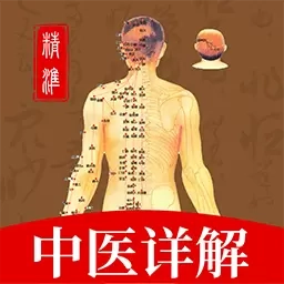 穴位经脉详解