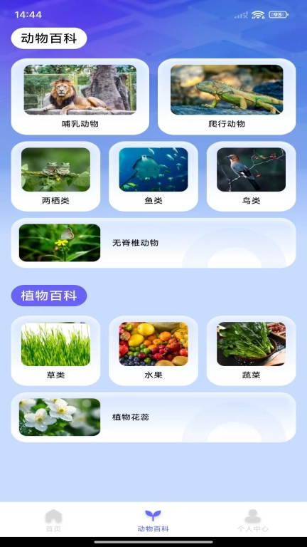 动物拍照识别